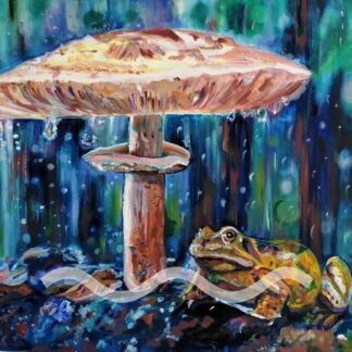 Umbrella for a frog